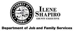 Summit County Executive Ilene Shapiros Department of Job and Family Services 2